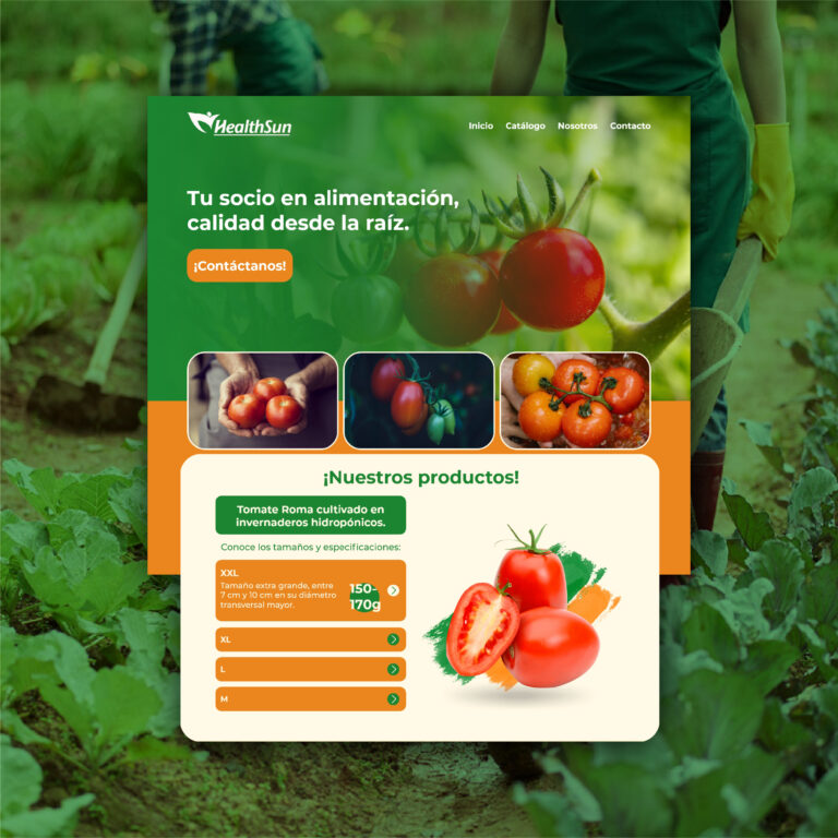 Diseño Web - Healthsun